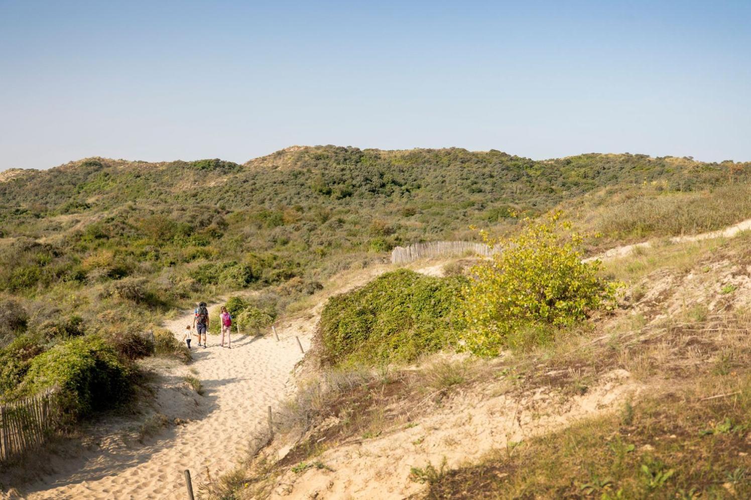 Holiday Home 'T Hof Der Witte Damen เวอร์เนอ ภายนอก รูปภาพ
