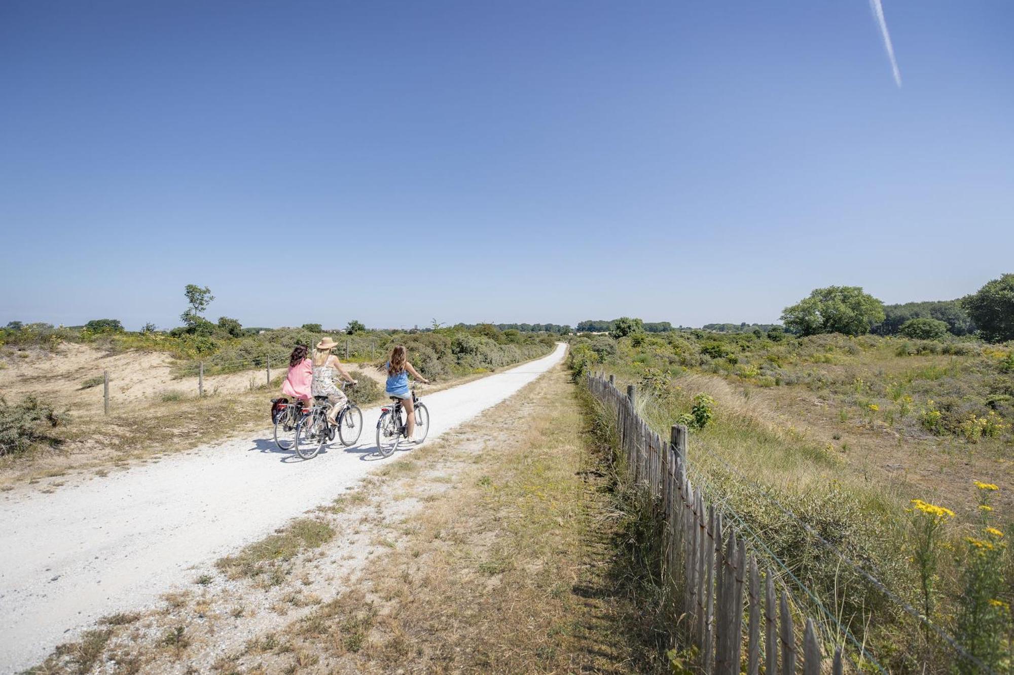 Holiday Home 'T Hof Der Witte Damen เวอร์เนอ ภายนอก รูปภาพ
