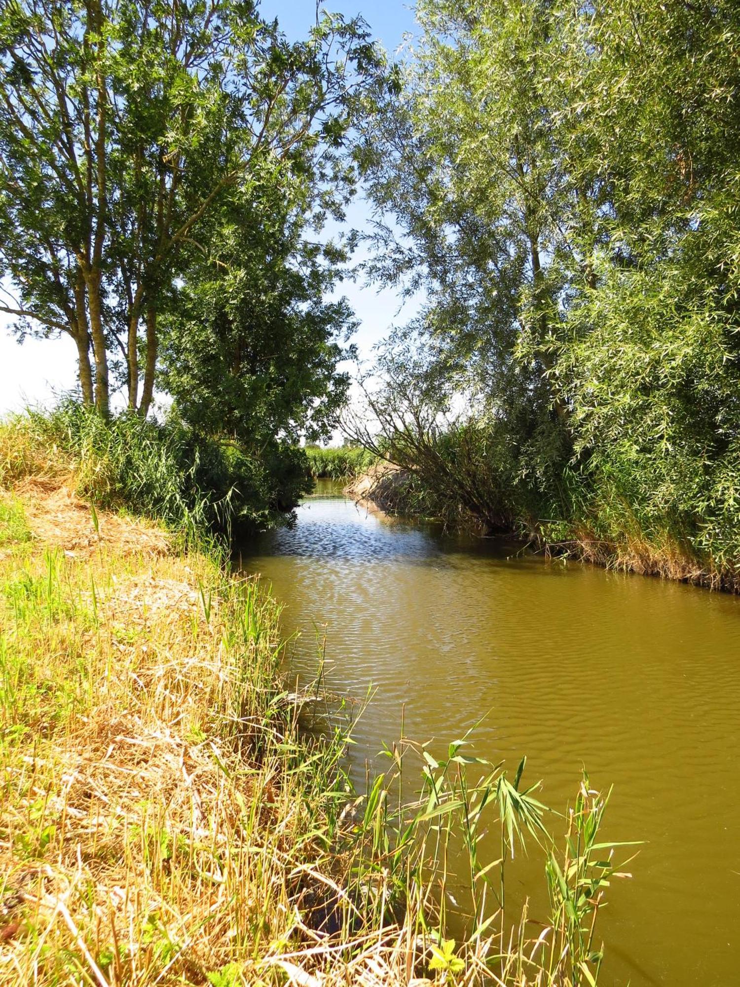 Holiday Home 'T Hof Der Witte Damen เวอร์เนอ ภายนอก รูปภาพ